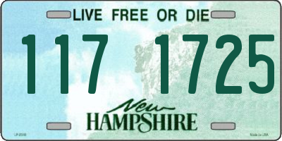 NH license plate 1171725
