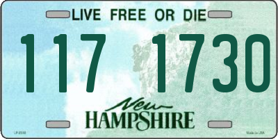 NH license plate 1171730