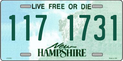 NH license plate 1171731