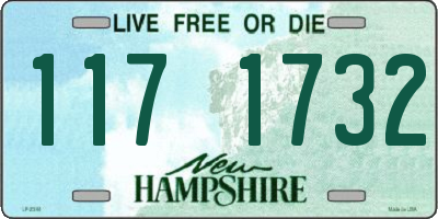 NH license plate 1171732