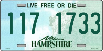 NH license plate 1171733