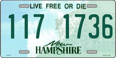 NH license plate 1171736