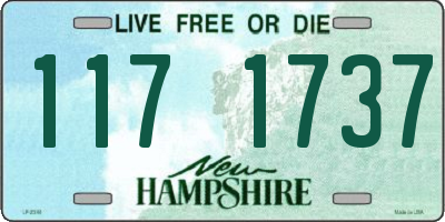 NH license plate 1171737