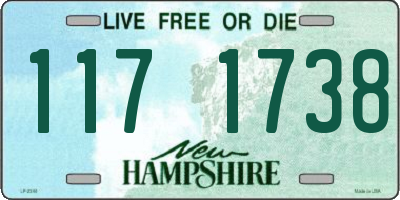 NH license plate 1171738