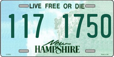 NH license plate 1171750