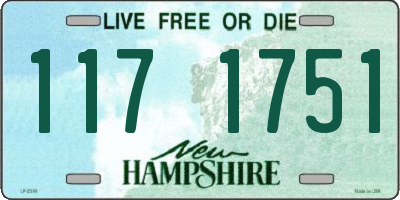 NH license plate 1171751