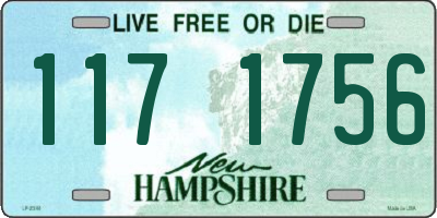 NH license plate 1171756