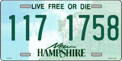 NH license plate 1171758