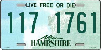 NH license plate 1171761