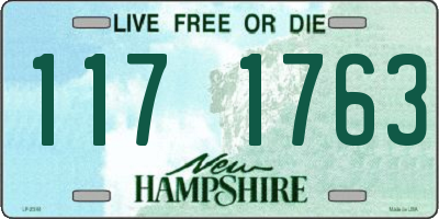 NH license plate 1171763