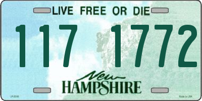NH license plate 1171772