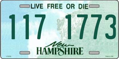 NH license plate 1171773