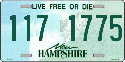NH license plate 1171775