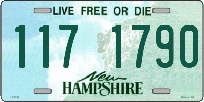 NH license plate 1171790
