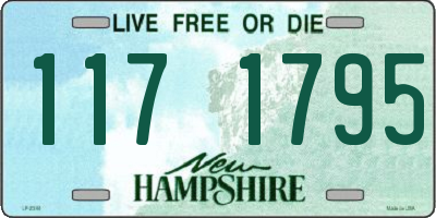 NH license plate 1171795