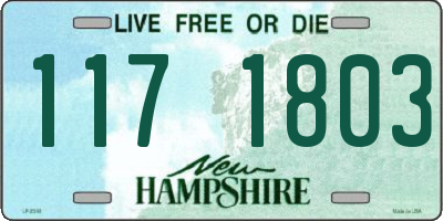 NH license plate 1171803