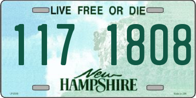 NH license plate 1171808