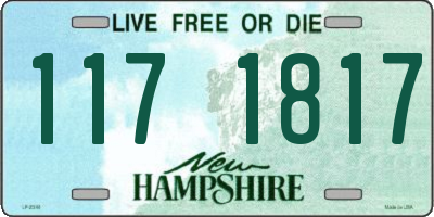 NH license plate 1171817