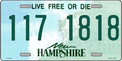NH license plate 1171818