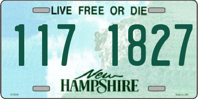 NH license plate 1171827