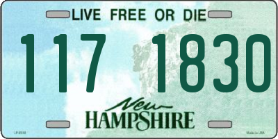 NH license plate 1171830