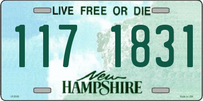 NH license plate 1171831