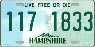 NH license plate 1171833