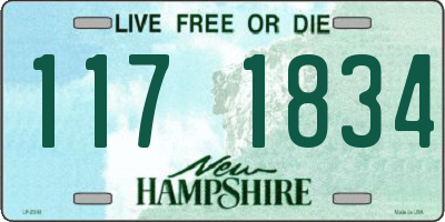 NH license plate 1171834