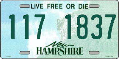 NH license plate 1171837
