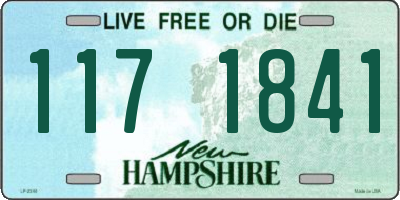 NH license plate 1171841