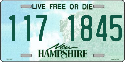 NH license plate 1171845