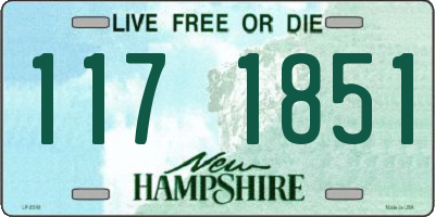 NH license plate 1171851