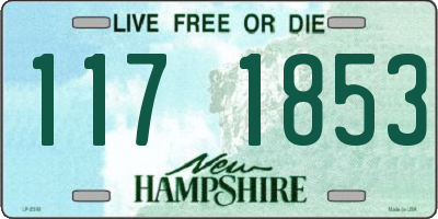 NH license plate 1171853