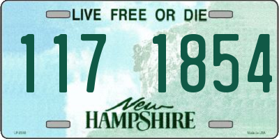 NH license plate 1171854