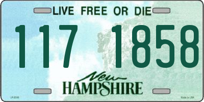 NH license plate 1171858