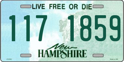 NH license plate 1171859