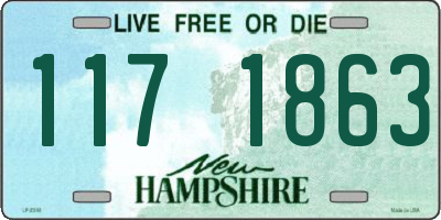 NH license plate 1171863