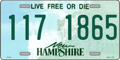 NH license plate 1171865