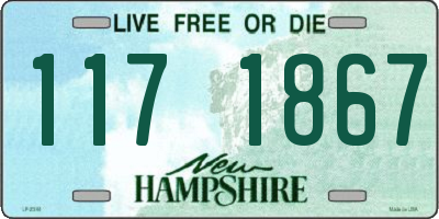 NH license plate 1171867