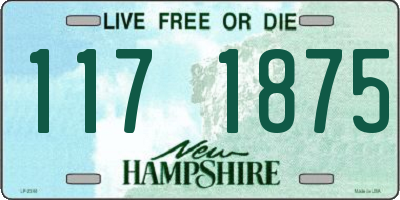 NH license plate 1171875