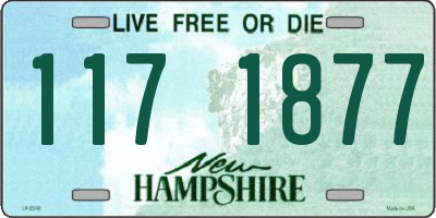 NH license plate 1171877