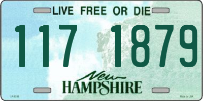NH license plate 1171879
