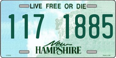 NH license plate 1171885