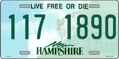 NH license plate 1171890