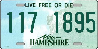 NH license plate 1171895