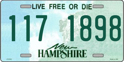 NH license plate 1171898