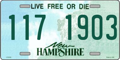 NH license plate 1171903