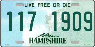 NH license plate 1171909