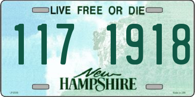 NH license plate 1171918