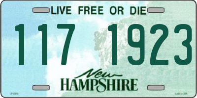 NH license plate 1171923